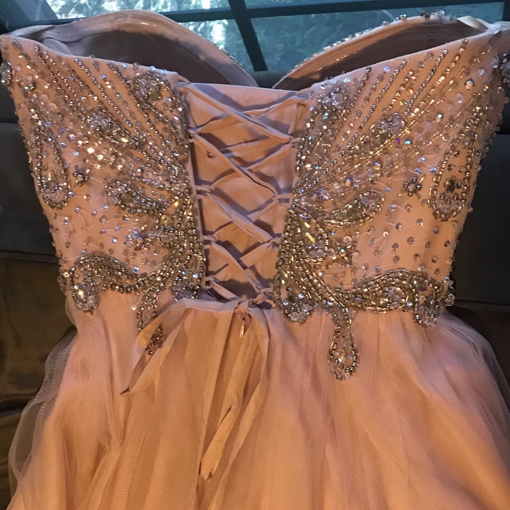 Beautiful XV or Sweet 16 Dress - Picture 5 of 6